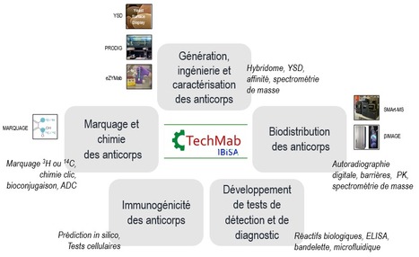 FOCUS PLATEFORME : TechMab : une nouvelle plateforme sur le territoire Paris-Saclay, avec un mot-clé qui la caractérise : ANTICORPS ! | Life Sciences Université Paris-Saclay | Scoop.it