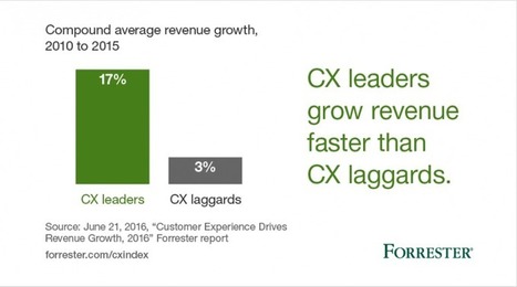 Customer Experience Drives Revenue Growth, 2016 | information analyst | Scoop.it