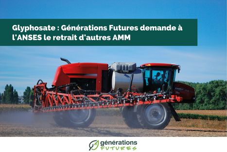 Autorisations de Mise sur le Marché (AMM) de glyphosate sans évaluation du risque pour les vertébrés et les arthropodes terrestres non-cibles : Générations Futures demande leur retrait | Au fil des Associations | Scoop.it