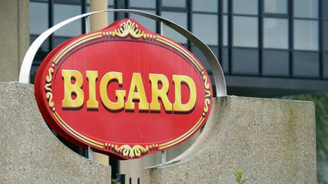 Avril veut céder à Bigard le contrôle de sociétés spécialisées dans l'abattage porcin | Actualité Bétail | Scoop.it