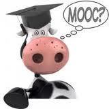 Another revolution going on: MOOCs | Create, Innovate & Evaluate in Higher Education | Scoop.it