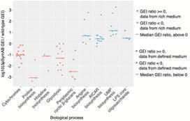 Robustness encoded across essential and accessory replicons of the ecologically versatile bacterium Sinorhizobium meliloti | Plant-Microbe Symbiosis | Scoop.it