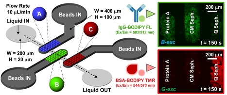 Optimizing the Performance of Chromatographic Separations Using Microfluidics | iBB | Scoop.it