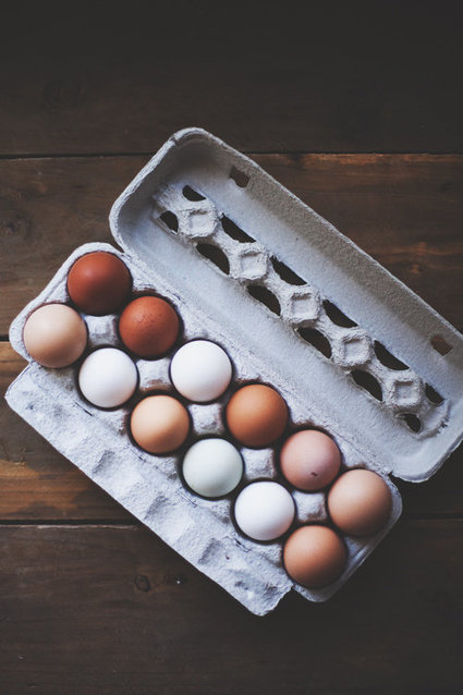 eggs panton | 1001 Gardens | 1001 Gardens ideas ! | Scoop.it