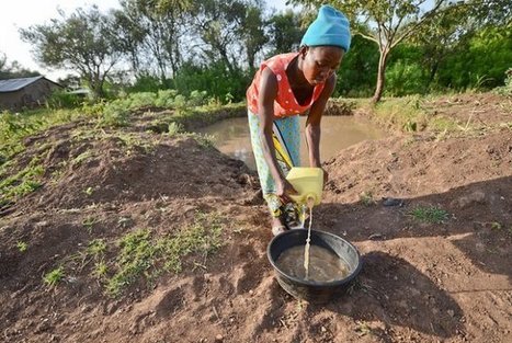 Africa Leaders&rsquo; Summit: &ldquo;Resilience and Food Security in a Changing Climate&rdquo; | Climate Change & DRR in East Africa | Scoop.it