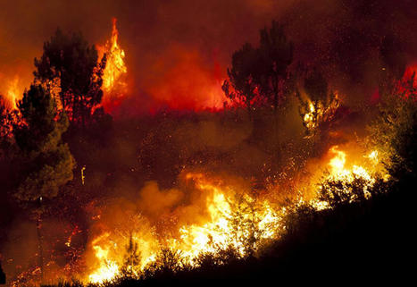 Incendies de forêt : face à la menace croissante, des députés veulent renforcer la prévention | Regards croisés sur la transition écologique | Scoop.it