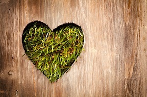 49 Ways to Gain the Trust <br/>and Loyalty of Your Audience | Consumption Junction | Scoop.it