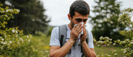 Pollens : le climat aggrave les cas d’allergies | Toxique, soyons vigilant ! | Scoop.it