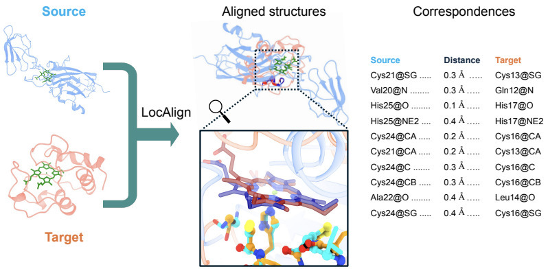 LocAlign: Local Protein Structural Alignment wi...