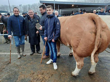 Demande et offre en phase sur les concours viande de Noël | Actualité Bétail | Scoop.it