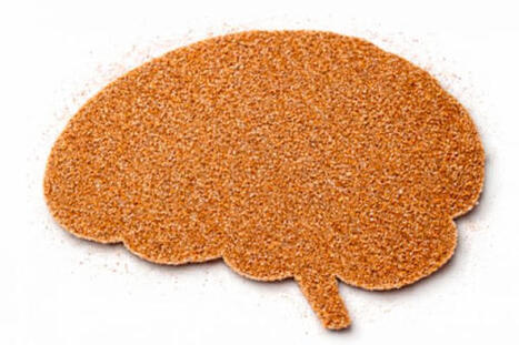 Cognitive Offloading: Using AI Reduces New Skill Formation | Inova&ccedil;&atilde;o Educacional | Scoop.it