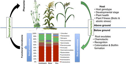 Functional Soil Microbiome: Belowground Solutio...