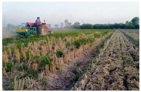 Compatibility Between Conservation Agriculture and the System of Rice Intensification | SRI Global News ++ March - May 2025    System of Rice Intensification (SRI) | Scoop.it