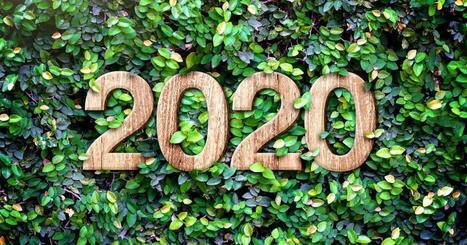 20 évènements engagés à ne pas rater en 2020 | Carenews | Co-construction, mécénat et philanthropie | Scoop.it