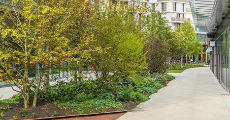 Végétalisation des villes : des avantages prouvés et des freins à dépasser | ESPACES VEGETALISES URBAINS | Scoop.it