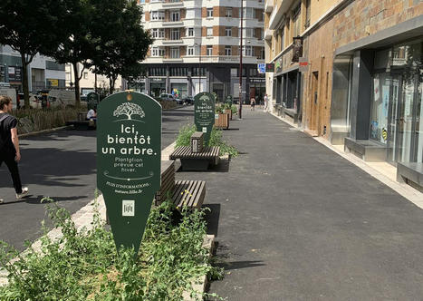 Label bas-carbone : une m&eacute;thode pour la v&eacute;g&eacute;talisation des villes soumise &agrave; consultation | L'actualit&eacute; de la politique de la ville | Scoop.it