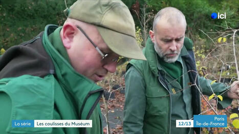 Les coulisses du Muséum : Les sanctuaires de la biodiversité végétale - Épisode 3/4 | Paysage - Agriculture | Scoop.it