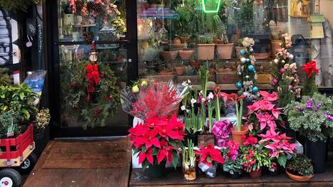 QFlorist: Exploring the Floral Wonder of New York City | Q Florist | Scoop.it
