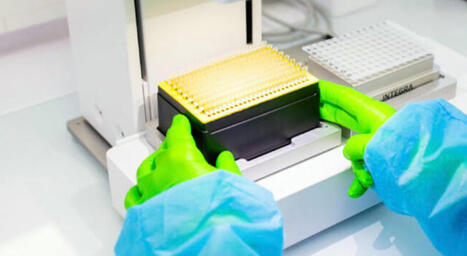 Innovation Levures: Lesaffre & MicroBioGen | AGROALIMENTAIRE | Scoop.it