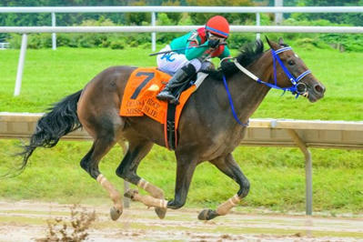 Stakes to Total $2.25M for 85-Day Delaware Park Meet - BloodHorse | Racing Business | Scoop.it