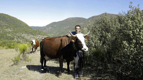 « Nous arrêtons de traire nos vaches durant l’hiver » | SCIENCES DE L' ANIMAL | Scoop.it