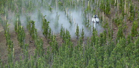 La seconde vie m&eacute;connue des pesticides dans l&rsquo;atmosph&egrave;re | Plan&egrave;te DDurable | Scoop.it