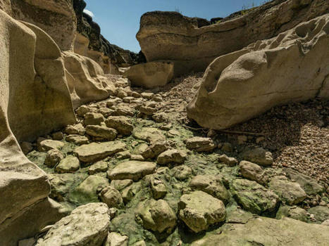 Sécheresse en France : le Gouvernement appelle à la sobriété après un nouveau bilan de la situation hydrologique | Biodiversité | Scoop.it