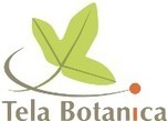 De la Haie au chemin creux, éloge de la Biodiversité - Tela Botanica | Biodiversité | Scoop.it