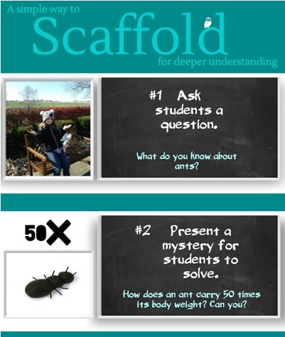 Scaffold Like an Ant- A simple scaffolding example | Education 2.0 & 3.0 | Scoop.it