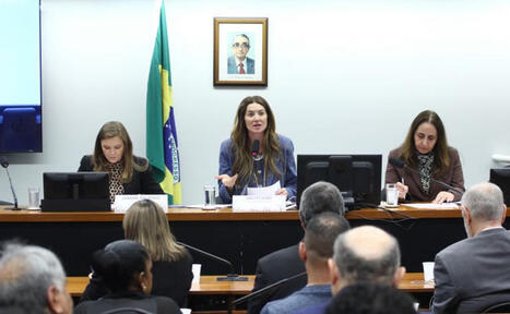 Fim das licenciaturas a dist&acirc;ncia divide opini&otilde;es em debate na C&acirc;mara - Not&iacute;cias | Inova&ccedil;&atilde;o Educacional | Scoop.it