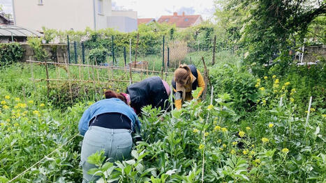 Les jardins partagés en ville, entre pédagogie et bien-être mental | Paysage - Agriculture | Scoop.it
