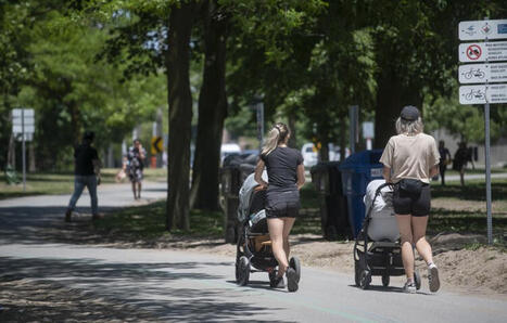 Why falling birth rates may pose a problem for future retirees | Wealth Management Report - Living Your Dreams | Scoop.it