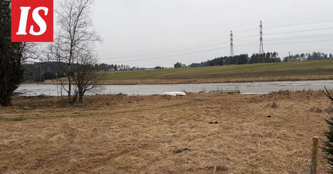 Miikan kaksi ty&ouml;hevosta hukkui Aurajokeen: &rdquo;En tied&auml;, mit&auml; ajattelivat&rdquo; | 1Uutiset - Lukemisen t&auml;hden | Scoop.it