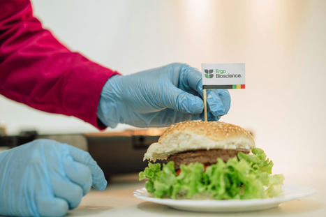 ARGENTINA : in beef-loving country, meat substitutes are gaining ground | AMÉRIQUES | Scoop.it