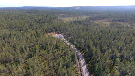 Vielä niitä mäntyjä humisee – Osaran aukeat ovat nyt hiilinielu ja puuvaranto Pohjoisen metsäteollisuudelle | Yle Uutiset | yle.fi | 1Uutiset - Lukemisen tähden | Scoop.it
