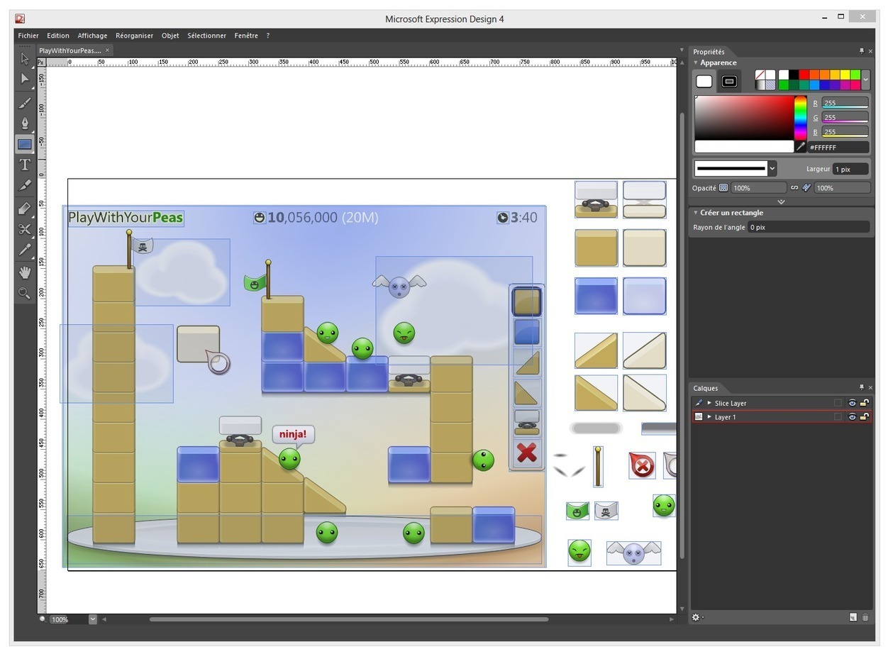 Microsoft Expression Design 4 : L'outil de cr&e...