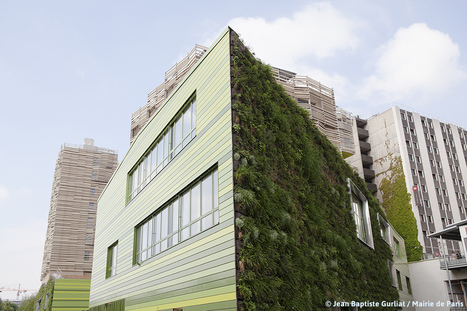 Végétaliser votre immeuble : retour sur le dernier RDV copro de l'APC | Paris durable | Scoop.it
