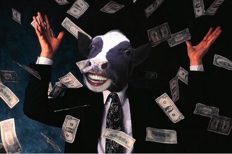 “What should we do about MOOCs?” – the Board of Governors discusses | MOOCs, SPOCs and next generation Open Access Learning | Scoop.it