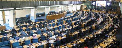 UN Issues New Standards to Curb Spread of Xylella | OLIVE NEWS | Scoop.it