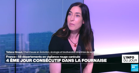 Tatiana Giraud, invit&eacute;e de France 24 : Canicule : "la plus grande priorit&eacute;, c'est de garder notre plan&egrave;te habitable" | Life Sciences Universit&eacute; Paris-Saclay | Scoop.it
