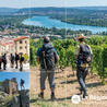 Suivi de la demande et des marchés du tourisme