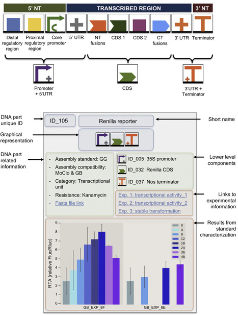 DNA assembly standards: Setting the low-level programming code for plant biotechnology | RMH | Scoop.it