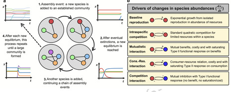 The eco-evolutionary assembly of complex communities with multiple interaction types | Ncm | RMH | Scoop.it