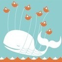 10 Tips on Using Twitter Wisely via Joe Brockmeier | TechTalk | Scoop.it