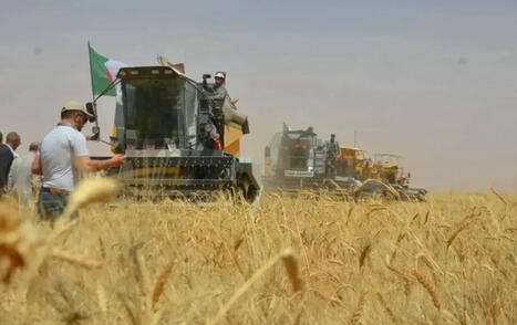 ALGERIE : Les nouveaux défis de l’agriculture algérienne : La souveraineté et la sécurité alimentaires en ligne de mire | CIHEAM Press Review | Scoop.it