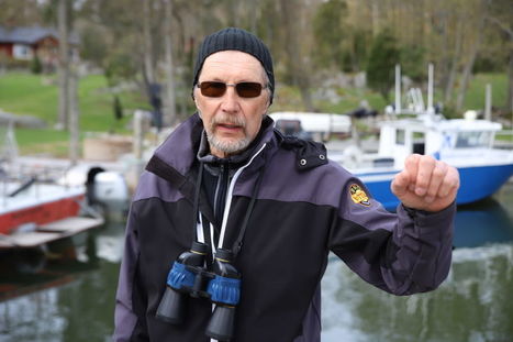 Saaristolintujen kannat hupenevat &ndash; Luonnonsuojelun syyt&auml;, sanoo ik&auml;ns&auml; meren &auml;&auml;rell&auml; asunut Kari Saramo | Yle Uutiset | yle.fi | 1Uutiset - Lukemisen t&auml;hden | Scoop.it