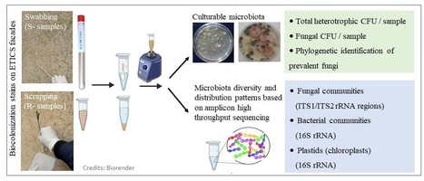 Microbial communities on the surface of ETICS facades in residential buildings | iBB | Scoop.it