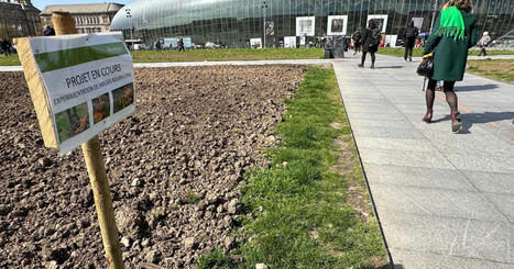 Environnement. À Strasbourg, un potager va pousser sur la place de la Gare | Strasbourg Eurométropole Actu | Scoop.it