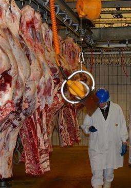 Cuiseaux (71): coup de semonce chez Bigard | La Gazette des abattoirs | Scoop.it