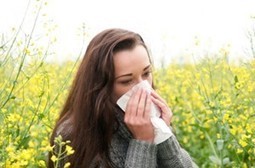 Spring Hay Fever Perth | Naturopathic-Homeopathy Natural Treatment | homeopath | Scoop.it